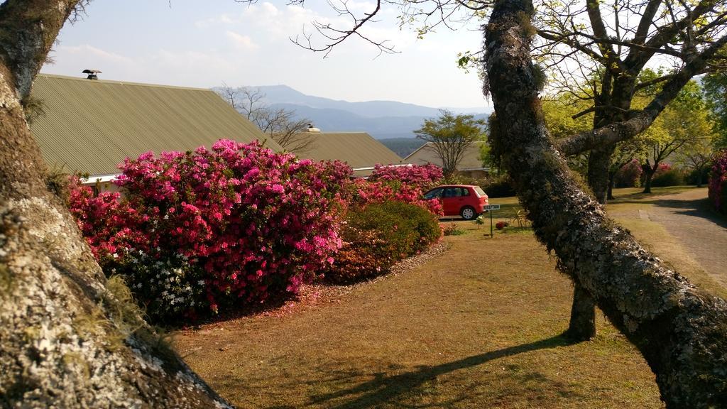 Kloofsig Holiday Cottages กราสคอป ภายนอก รูปภาพ
